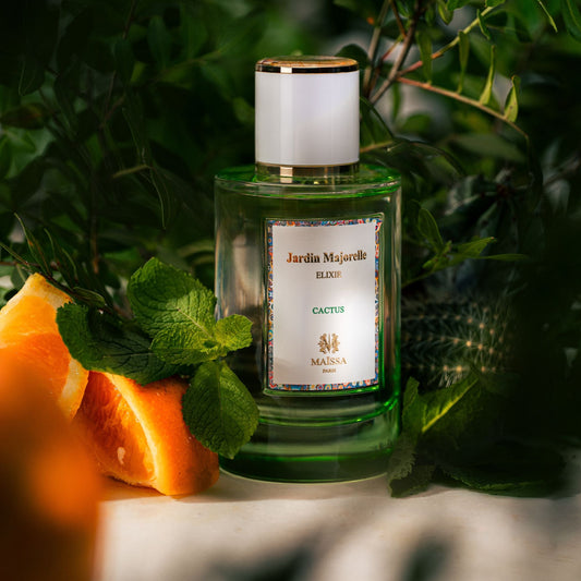 FREE GIFT | Jardin Majorelle - Cactus