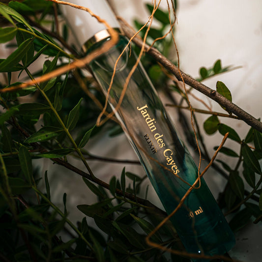 FREE GIFT | Jardin des Cayes - Vétiver