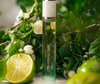 FREE GIFT | Jardin Sicilien - Bergamote