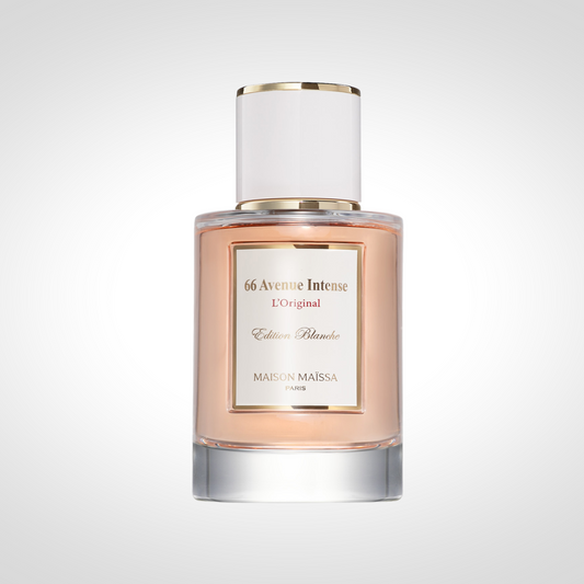 FREE GIFT | 66 Avenue